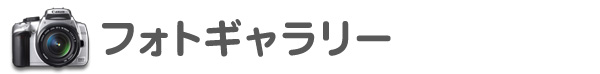 フォトギャラリー